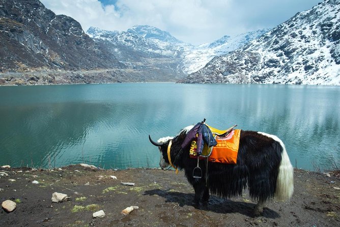 Sikkim Tour Packages From Delhi